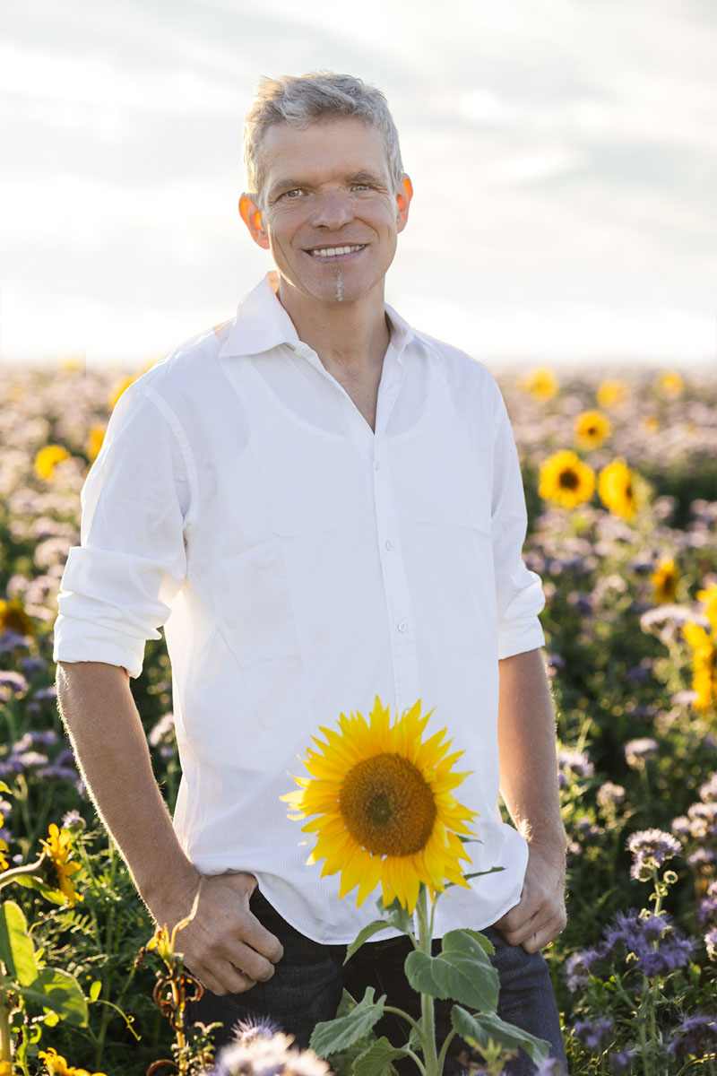 Papa im Sonnenblumenmeer bei Dresden