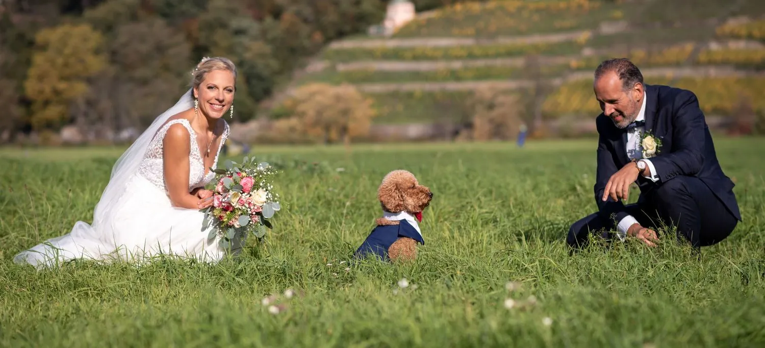 Brautpaarshooting mit Hund an der Dresdner Elbe